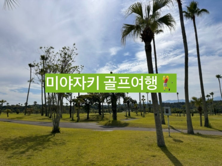  결혼1주년) 머리 올리러 가는 '미야자키 일본골프여행' 패키지? 자유여행? 장단점 비교 / 아시아나항공 OZ158