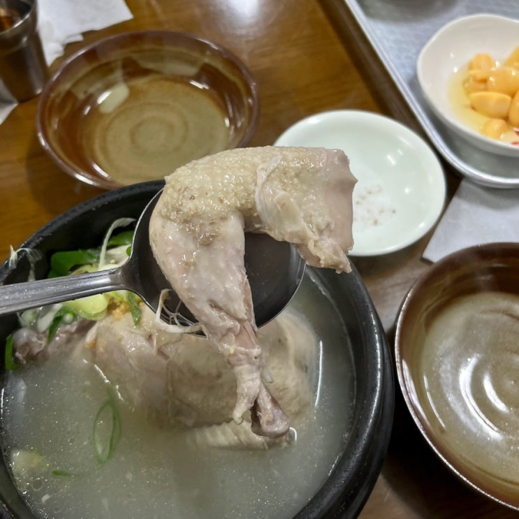  경남 고성 삼계탕 맛집 반도삼계탕 내돈내산 솔직후기