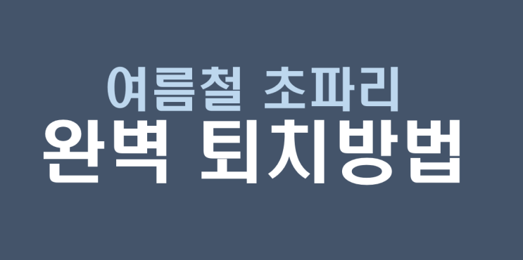  여름철 불청객 초파리, 이렇게 해결해요! 원인, 예방법, 퇴치법 완벽 가이드