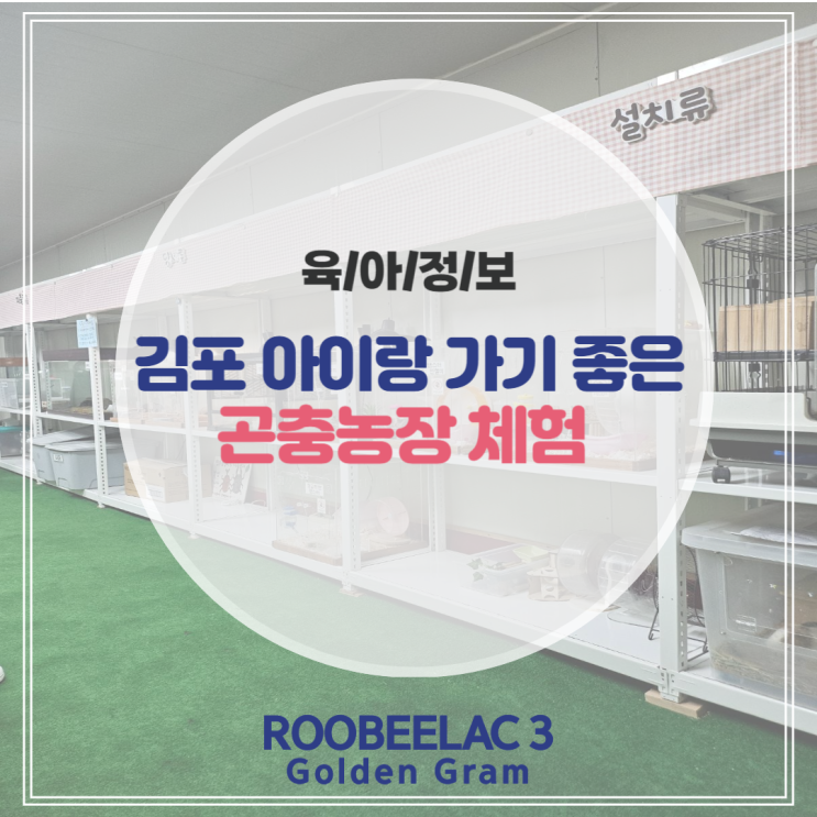  서울근교 아이랑 가볼만한 곳 김포 곤충농장 체험후기 by. 덴마크 슈퍼 프리미엄 분유 루비락 3
