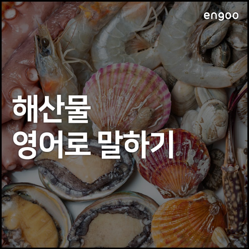 전복 영어로, 영어로 말해보는 해산물! 2탄!