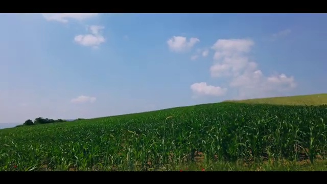  창원 결혼박람회 , 웨딩플래너 예약 방법 , 웨딩박람회에서 결혼준비 알기쉽게 알아보는 법