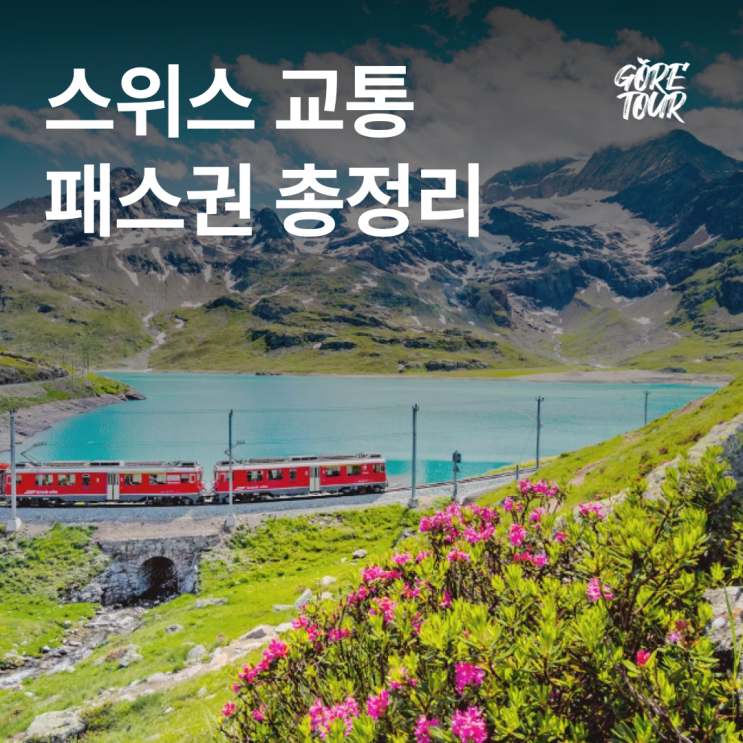  스위스 교통 패스권 총정리 ( + 최저가사이트, 교통정보)
