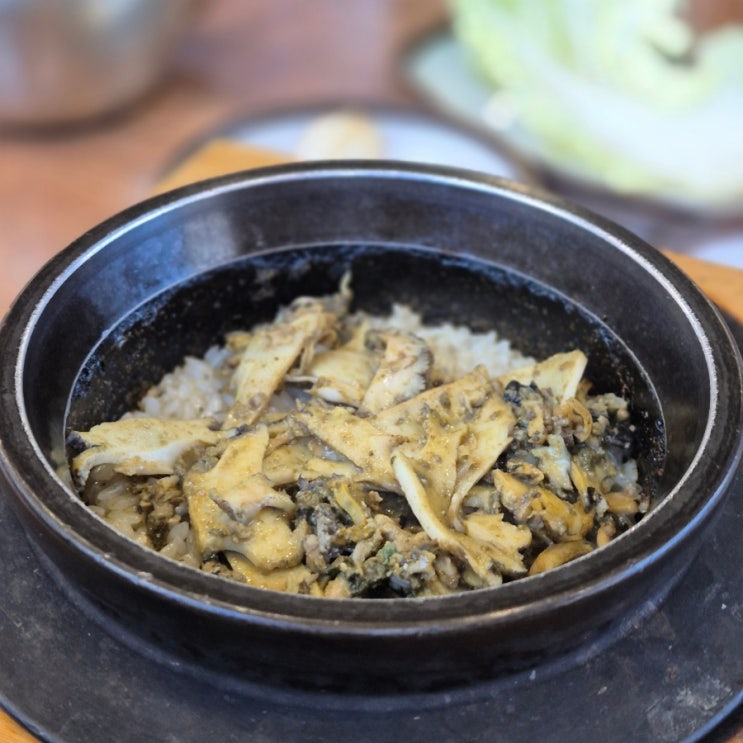  제주도 혼밥 하기 좋은 모슬포 맛집 모슬포한라전복