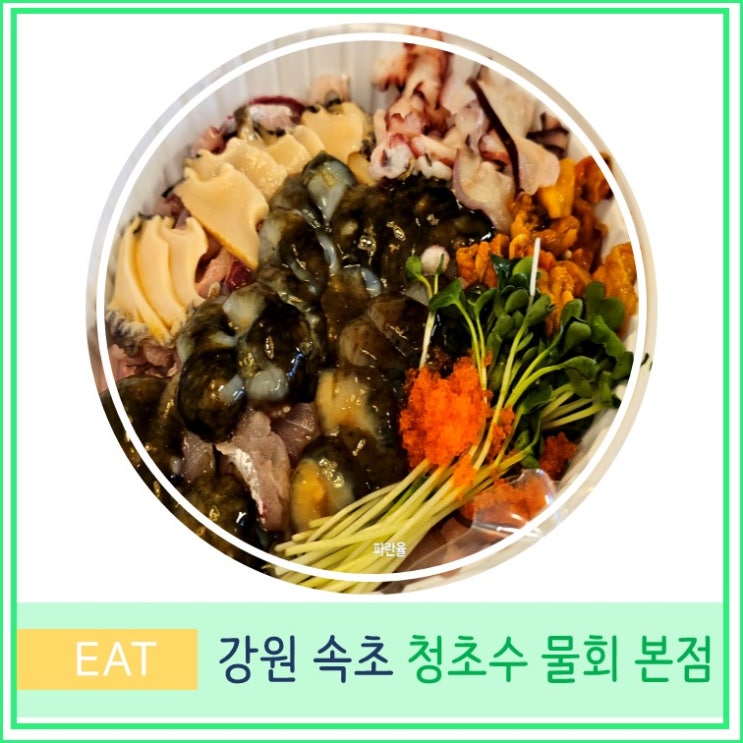  강원도 속초 맛집 청초수 물회 본점 포장 솔직 후기