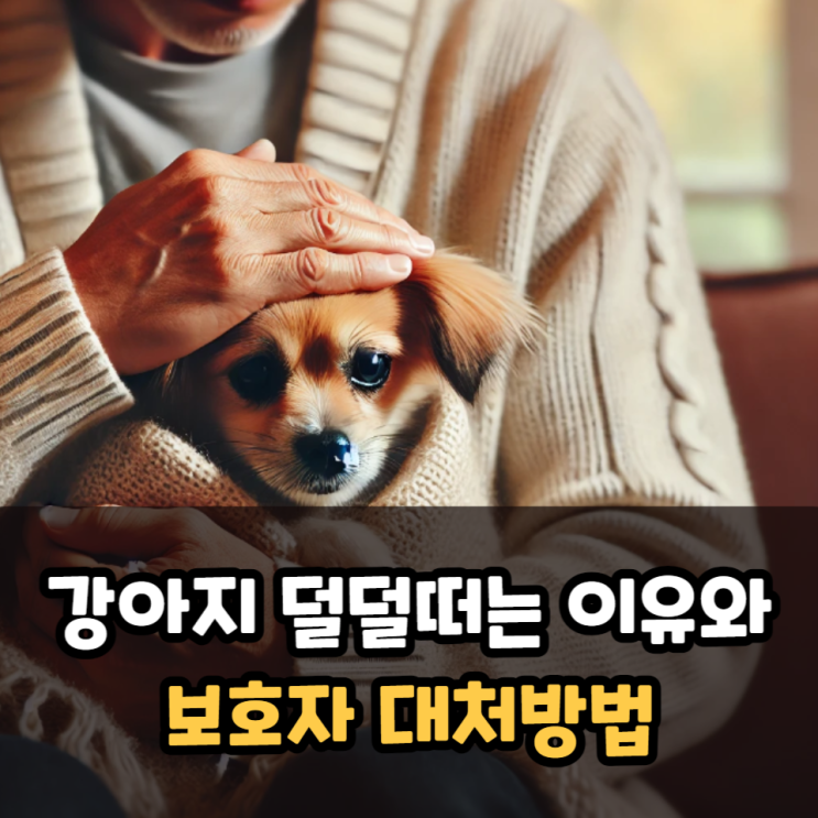  강아지덜덜떠는이유와 대처방법