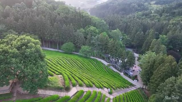  쏘렌토장기렌트견적 리스 , 정말 경제적인 절세 초기 비용 없이 실행해보세요 !