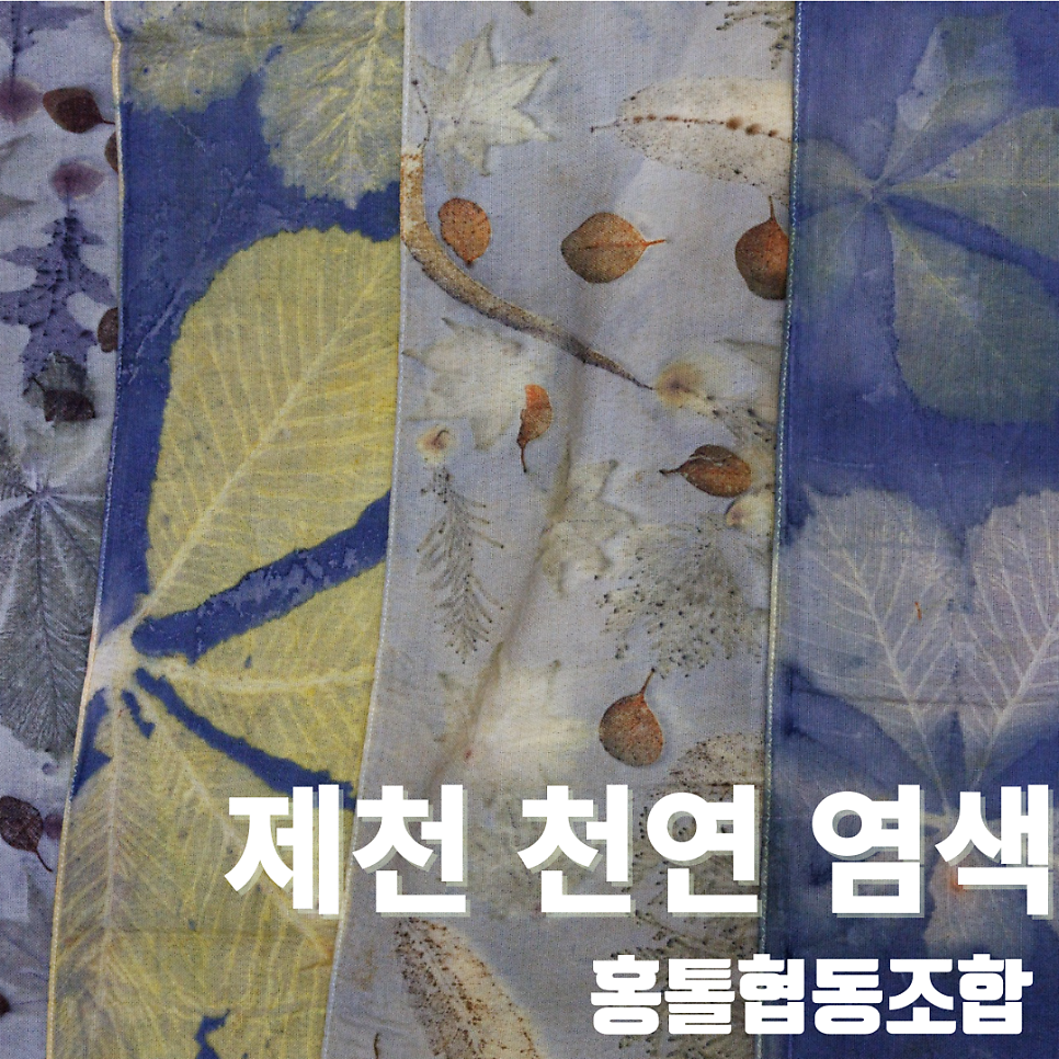 홍톨문화원 사진 1