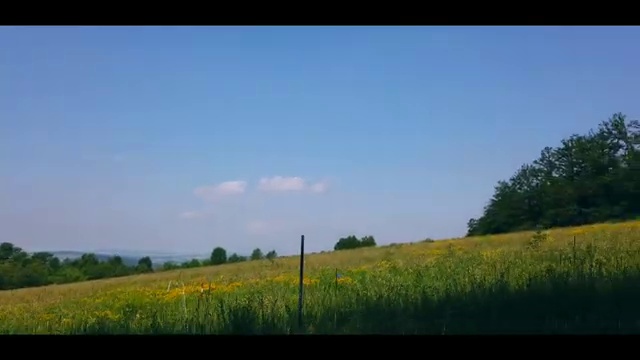  다이렉트 웨딩박람회 웨딩박람회 의 시작 셀프웨딩스튜디오 준비하는 방법