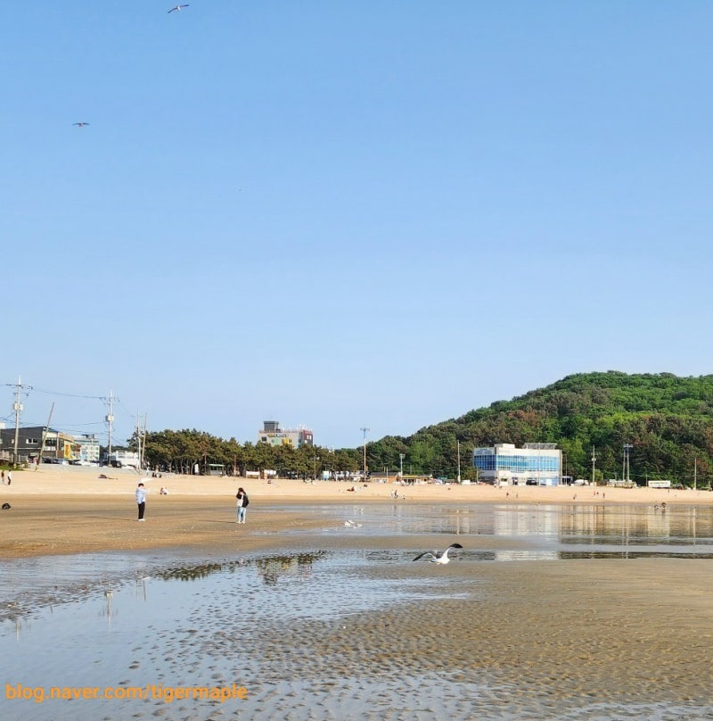 을왕리 MT 엠티 장소 추천 인천 바닷가 단체 숙소 바다 근처 어울림펜션