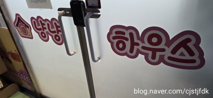  고양이 카페 냥냥 하우스. 아이들이 고양이를 너무 좋아해요.