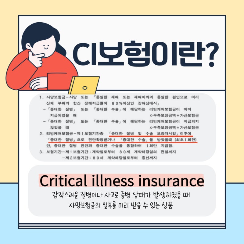 CI 보험, 의미, 단점, 꿀 팁 리모델링 2