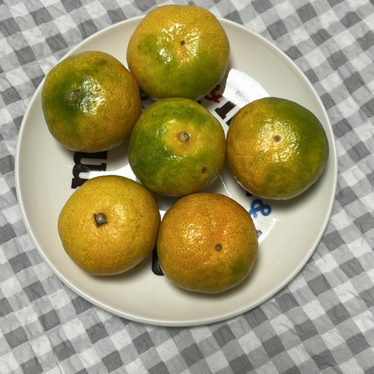  당도 높은 제주 하우스감귤 추천 아빠는농부다 승환이네 농장