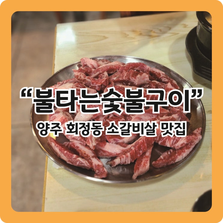  [양주회정동맛집] 기름기없는 소갈비살 맛집 '불타는숯불구이'