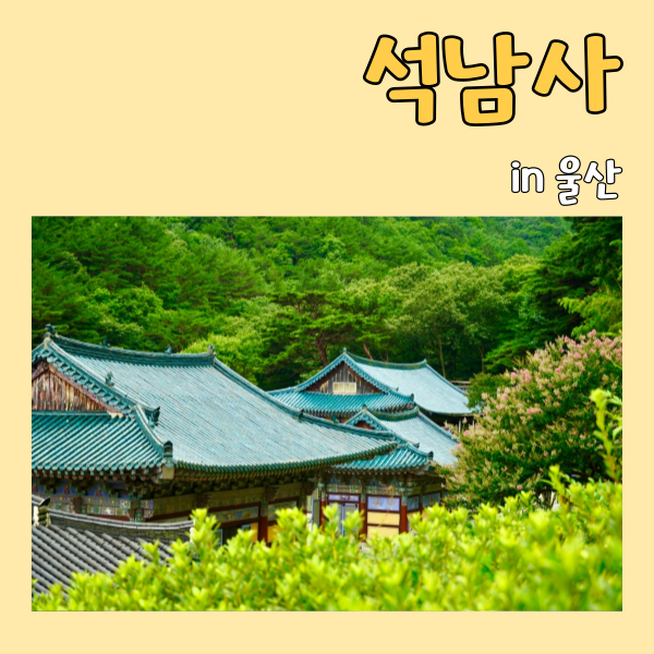 사진 3