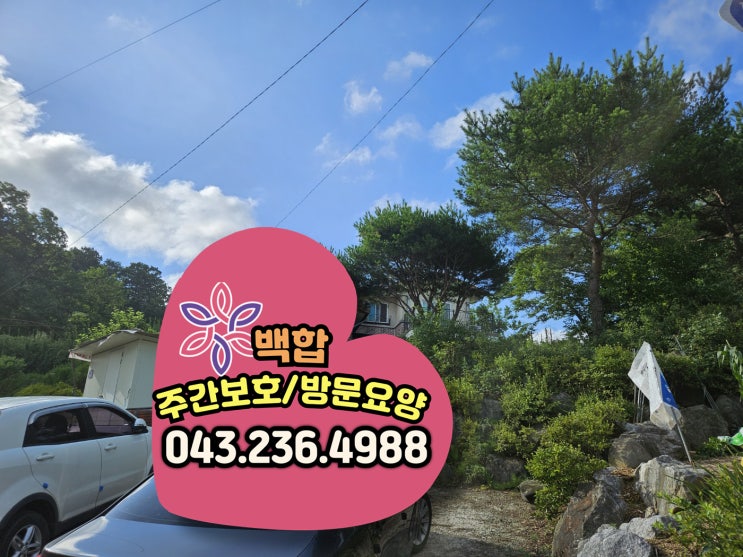  청주주간보호센터 치매 환자의 일몰 증후군 관리와 건강한 생활환경 조성 방법