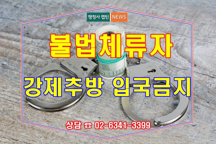  불법체류 강제추방 입국금지자의 재입국_심층조사 및 실태조사와 입국규제해제신청은 필수