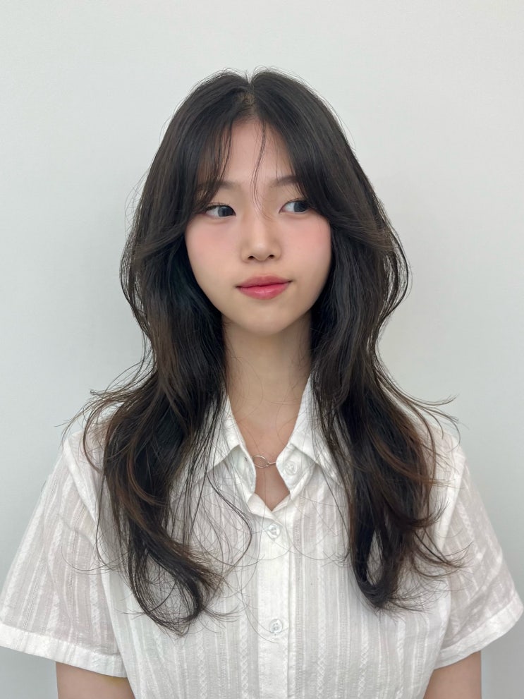  종로 미용실 파인트리헤어살롱 허쉬펌 퍼스널헤어컨설팅 후기