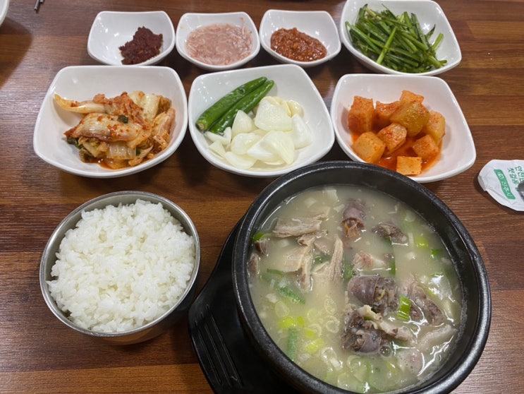  진주 맛집 추천 호탄동 백세돼지국밥