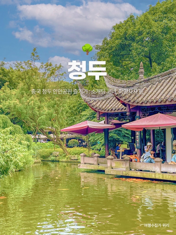  중국 청두 인민공원 즐기기 : 소개팅 코너, 학명차사, 인공호 보트 등