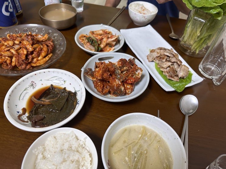  [일상] 별거없는 내 일상 (시골집 다녀온 일기)