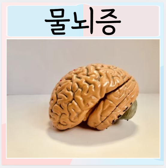  물뇌증 수두증 원인 증상 치료 진단