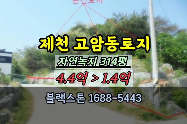  제천시 고암동 토지 경매 주거나지 300평