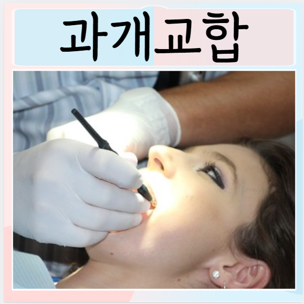  과개교합 교정 문제점 원인