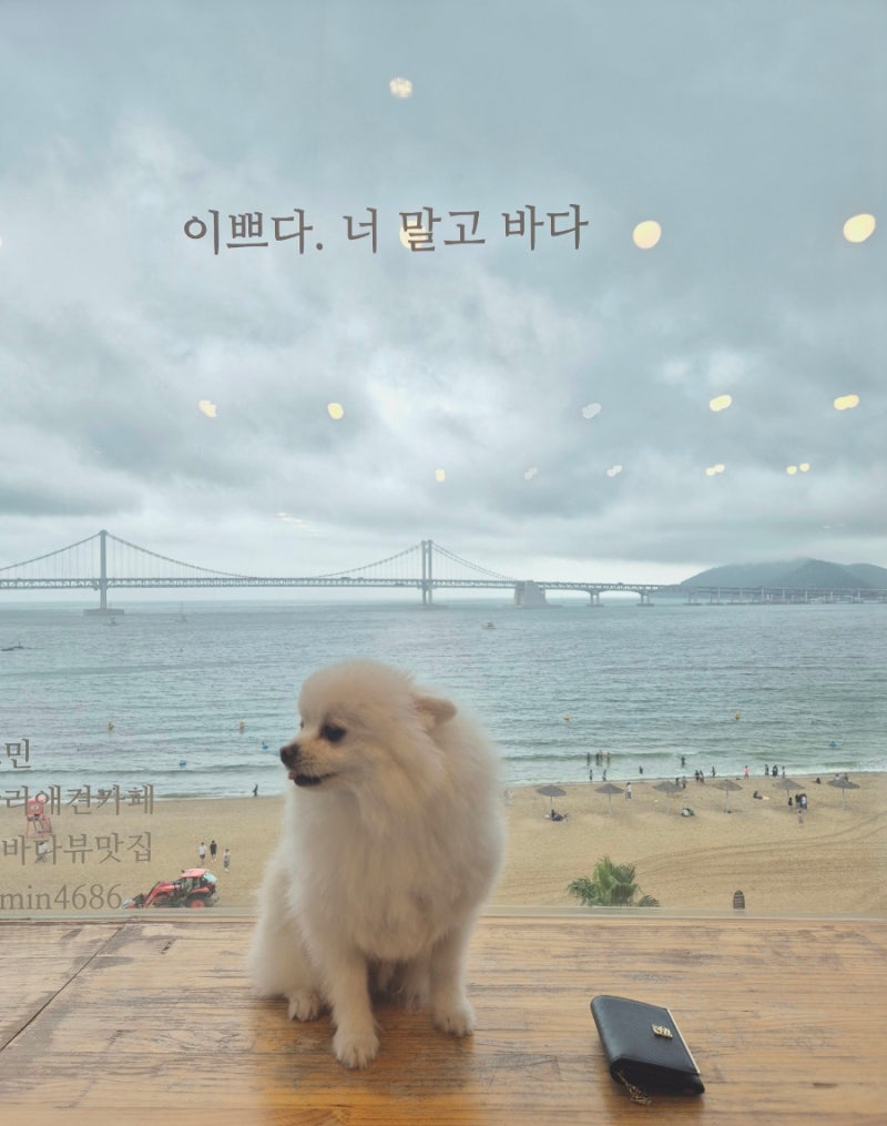 사진 2