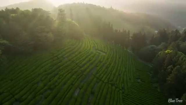  부산 사회복지학학점은행 . 사회복지사2급 경력없어도 학점은행제로 손쉽게