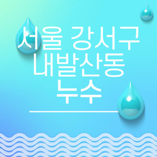  서울 강서구 내발산동 누수탐지 업체 비용 후기