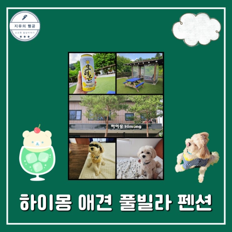  가평 하이몽 애견 풀빌라 펜션 | 냉이 방 개별운동장 내돈내산 솔직후기