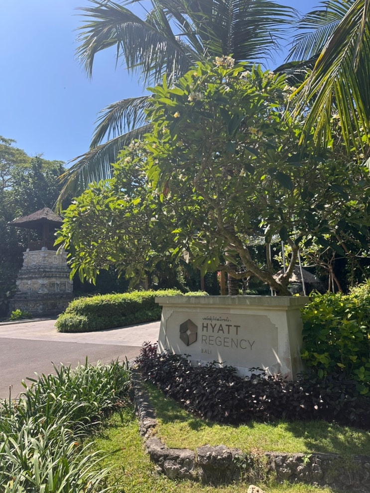  발리 사누르 숙소 Hyatt Regency Bali 수영장 헬스장 안다즈 식당