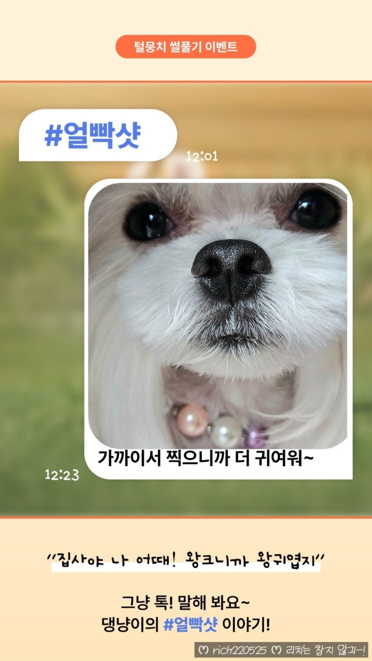  반려동물앱 추천 피피 프렌즈 강아지이벤트 어플 고양이이벤트 앱테크 친구초대 : TWO1562