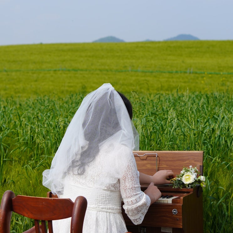  결혼준비 순서, 나는 어디까지 했지?