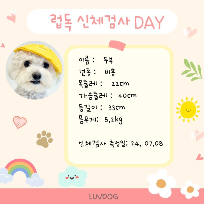 사진 3