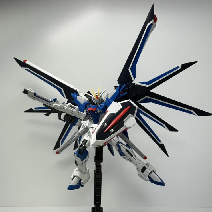  HG 라이징 프리덤 건담(건담 SEED FREEDOM)