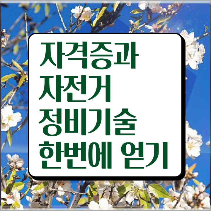  대구 자전거수리 , 자전거정비지도사 자격증 1달 만에 준비한 방법 및 취업 전망