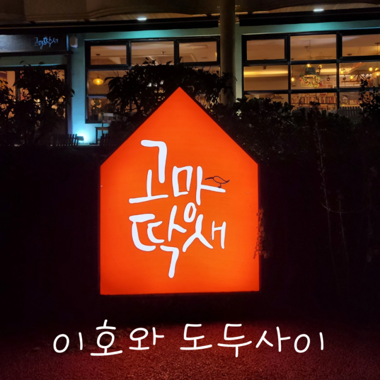  제주 북카페 고망딱새 제주시 심야카페