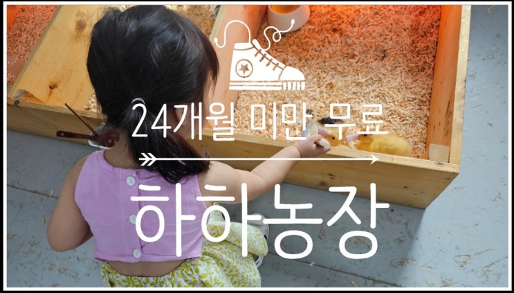  대구 아이와 가볼만한곳 하하농장에서 동물먹이체험하고 왔어요