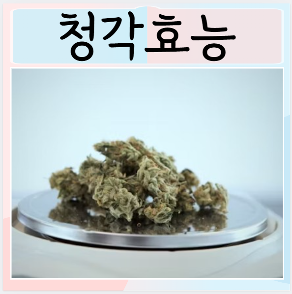  청각 효능 먹으면 좋은점은?