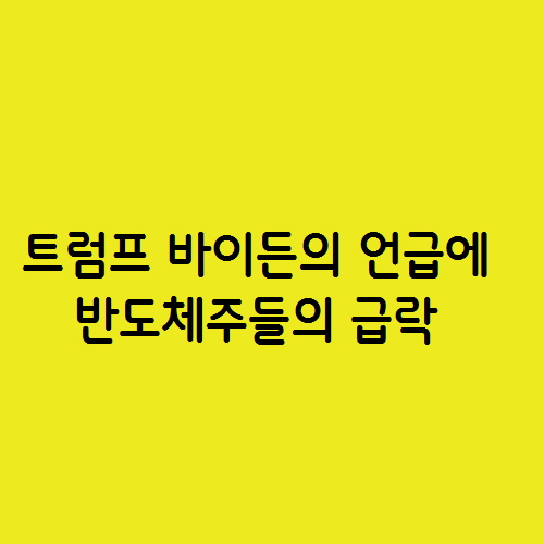  트럼프 바이든의 언급에 반도체주들의 급락