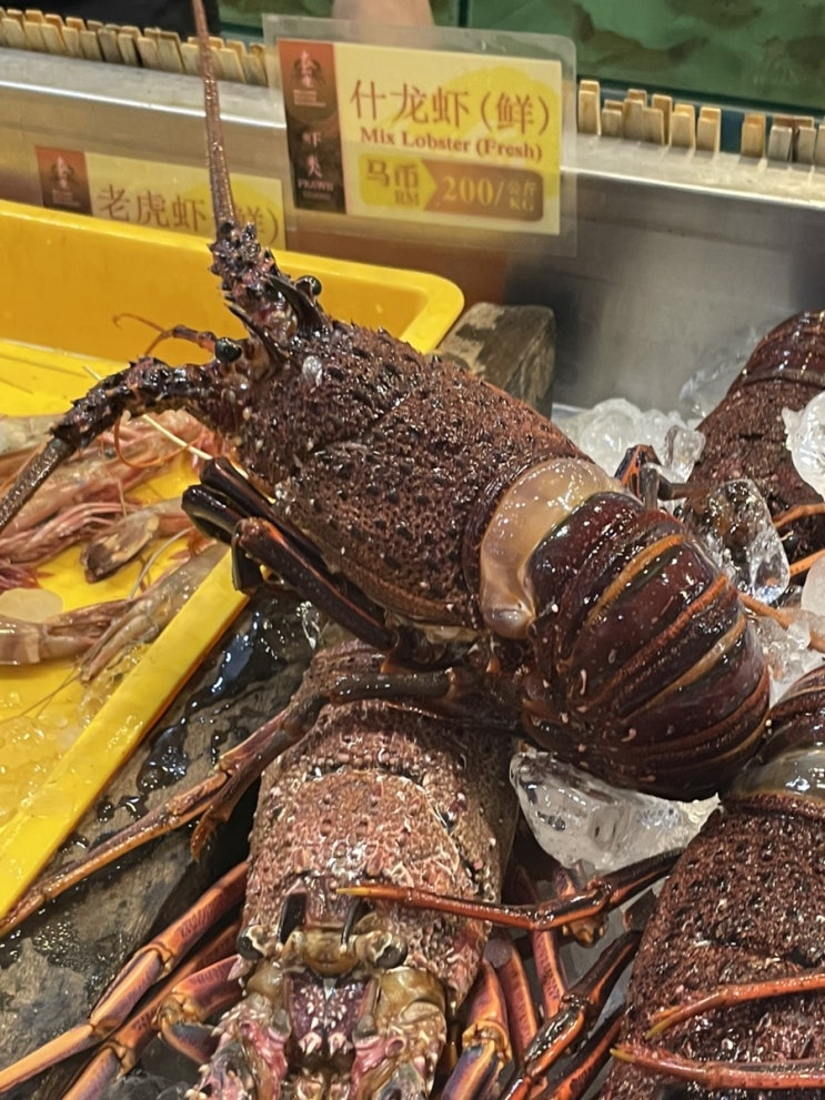  [코타키나발루] 웰컴씨푸드 / B 구역 / 메뉴 추천 / 현지인 맛집 / Welcome Seafood Restaurant