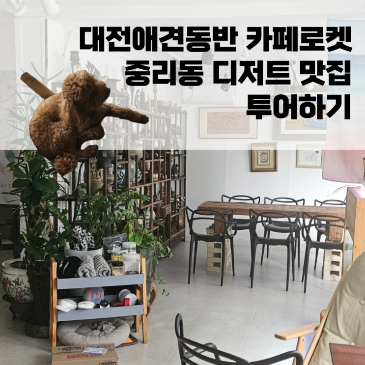  대전애견동반 카페로켓 중리동 디저트 맛집 투어하기