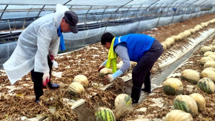 <b>익산</b> <b>수해 현장</b> 찾아 피해복구 작업 '구슬땀'