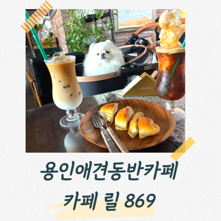  용인애견동반카페 개모차 끌고 방문하기 좋은 카페릴 869