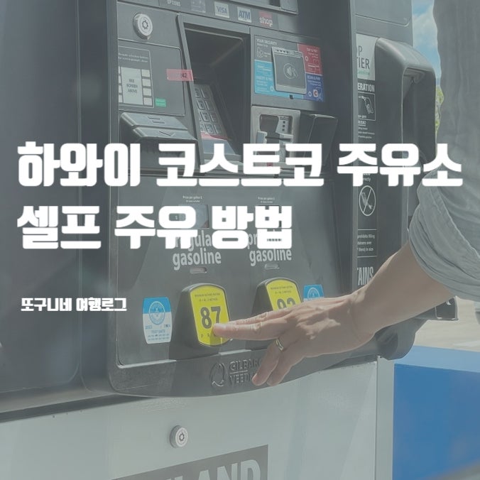  하와이 주유 방법 코스트코 주유소 기름값 셀프 주유 후기