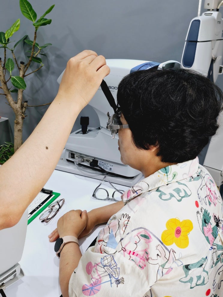  대구다초점안경 으뜸50안경 대구시지점