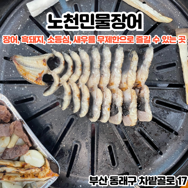  부산INFJ의 맛집여행 - [부산 동래] 노천민물장어 : 자포니카종 민물장어, 스페인산 흑돼지 삼겹살, 소고기 등심, 새우를 무제한으로 즐길 수 있는 동래맛집