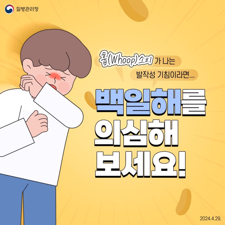  기침 백일해, 백일동안 기침을 한다는 발작성 기침 '백일해' 주의